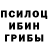 Псилоцибиновые грибы MAGIC MUSHROOMS Eamon Gerber