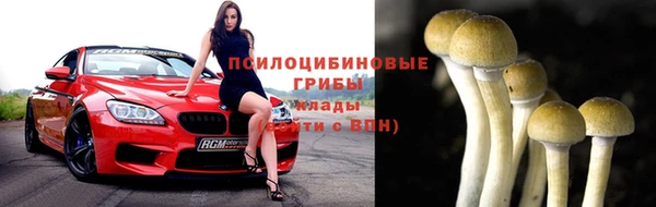 амф Алзамай