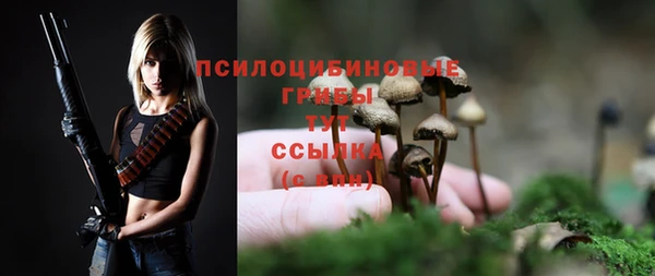 амф Алзамай